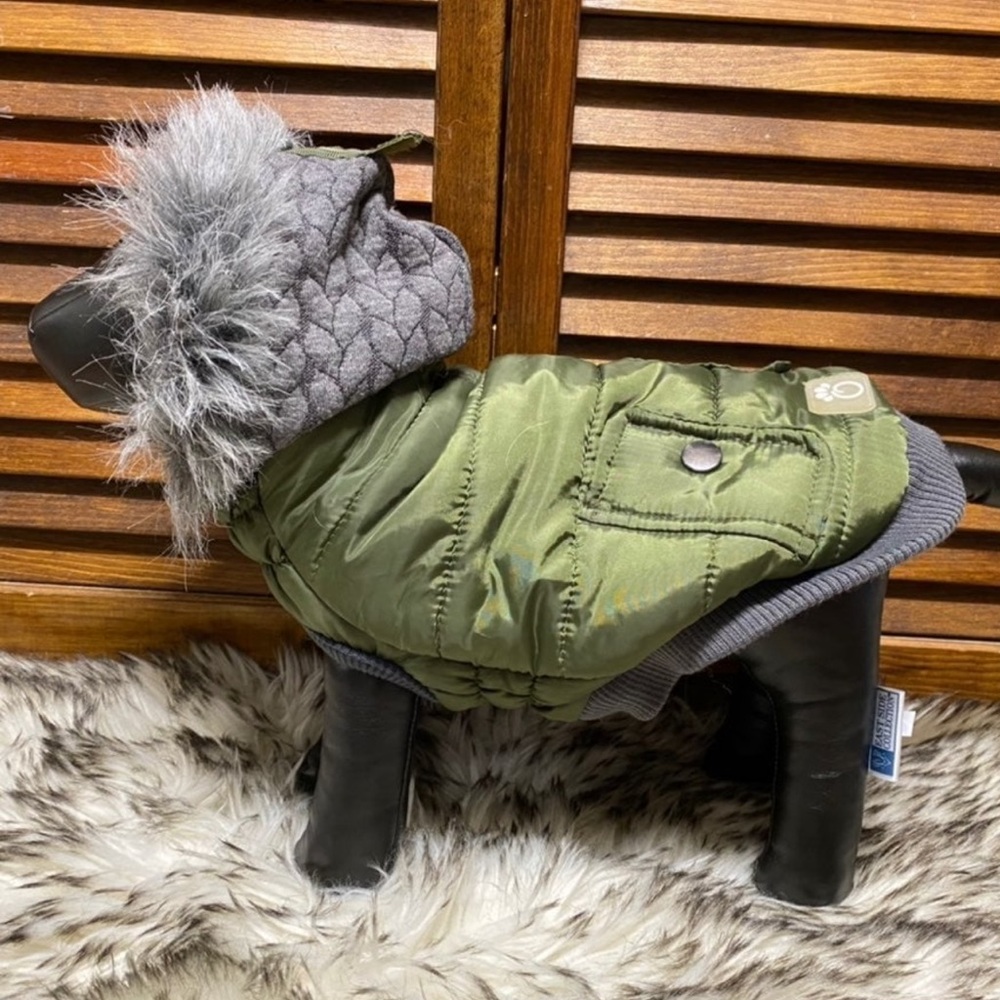 Dog Clothes